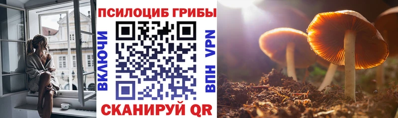 как найти   mega ТОР  Галлюциногенные грибы Psilocybine cubensis  Голицыно 